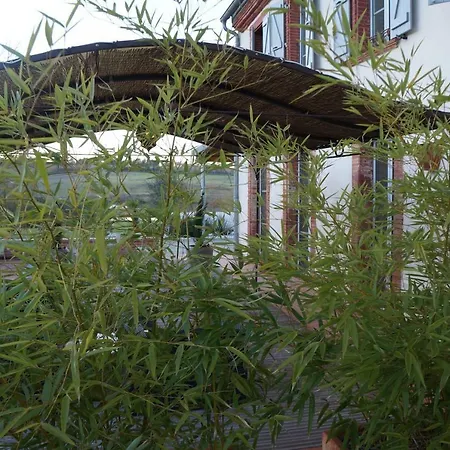 Bed & Breakfast Domaine En Castanet *