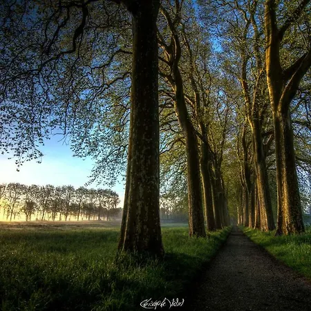 Domaine En Castanet Bed & Breakfast 3*