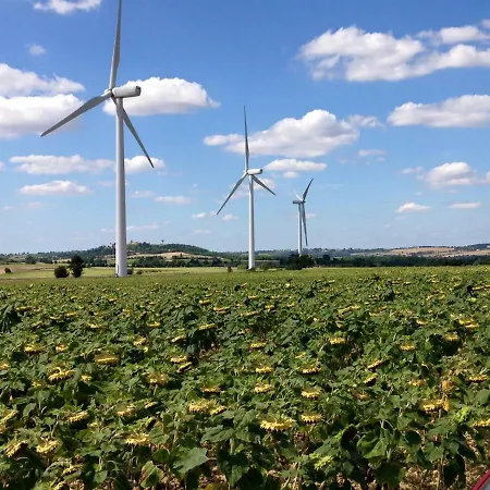Bed & Breakfast Domaine En Castanet Caraman