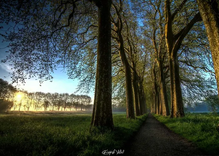 Domaine En Castanet Oda ve Kahvaltı 3*