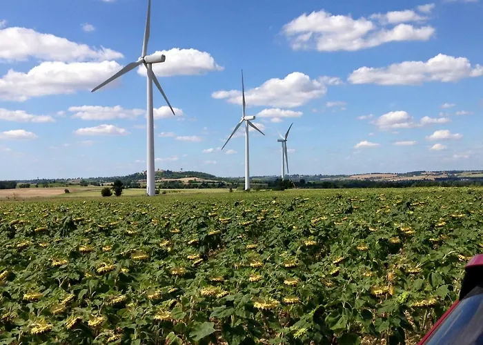 Oda ve Kahvaltı Domaine En Castanet Caraman